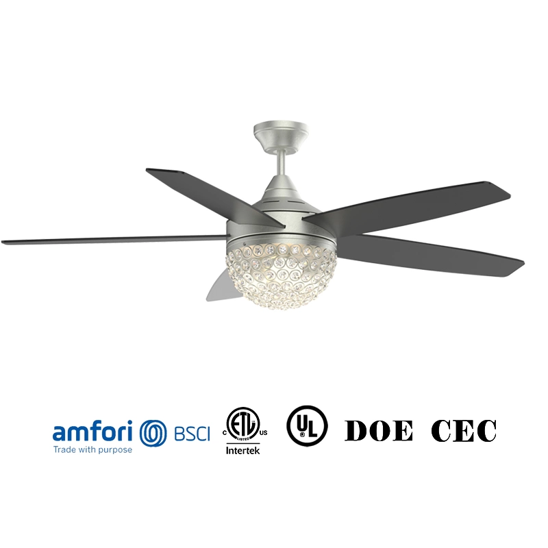 Ceiling Fans with Lights Exclusive Mold 10 Years for Motor 5 Blade LED Ceiling Fans